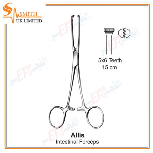 Intestinal  forceps Allis 5X6 teeth 15 cm 