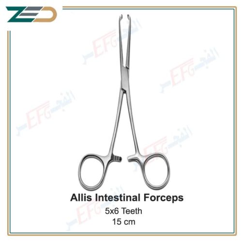 Allis intestinal forceps‚ 6x5 teeth, 15 cm